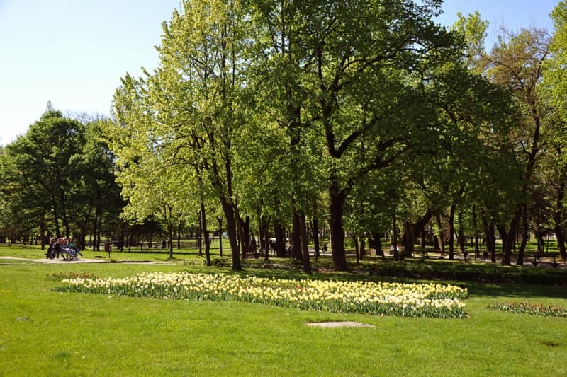 Parcul Nicolae Romanescu primăvara